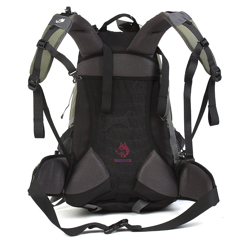 Hiking Nylon Rainproof Backpack